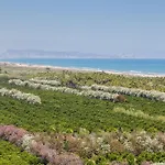 Gandiazar
